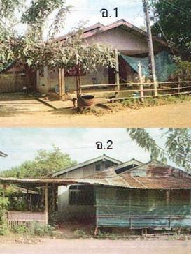 หนองหลวง เฝ้าไร่ หนองคาย