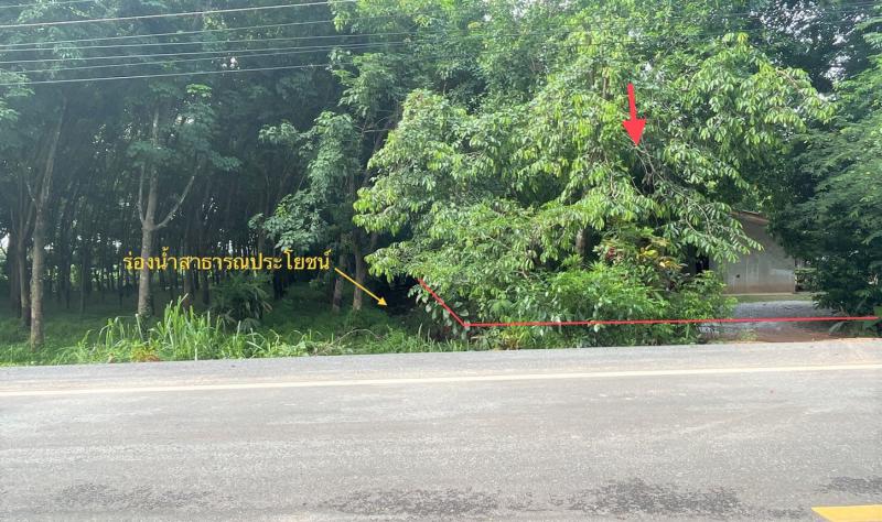 บ้านเดื่อ เมืองหนองคาย หนองคาย
