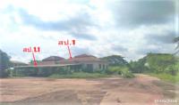 https://nongkhai.ohoproperty.com/199566/ธนาคารกสิกรไทย/ขายปั๊มน้ำมัน/พระธาตุบังพวน/เมืองหนองคาย/หนองคาย/